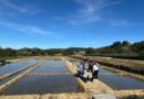 Excursión a las Salinas de Prado del Rey y experimentos del alumnado